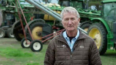 From ‘A+’ grade to ‘we can’t stand this much longer,’ Georgia voters take stock of Trump’s first year back in office