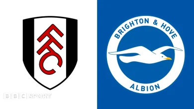 Fulham vs Brighton & Hove Albion: Premier League preview, team news, stats & head-to-head