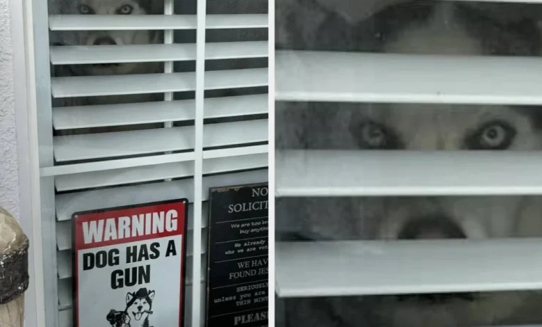 Funny Signs To Start Your 2026 With Laughter