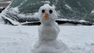 Gallery: Snow in the Borderland January 2026