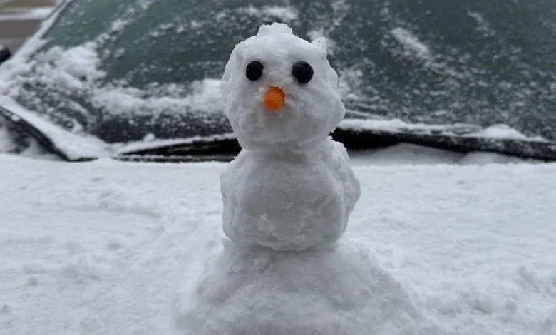 Gallery: Snow in the Borderland January 2026