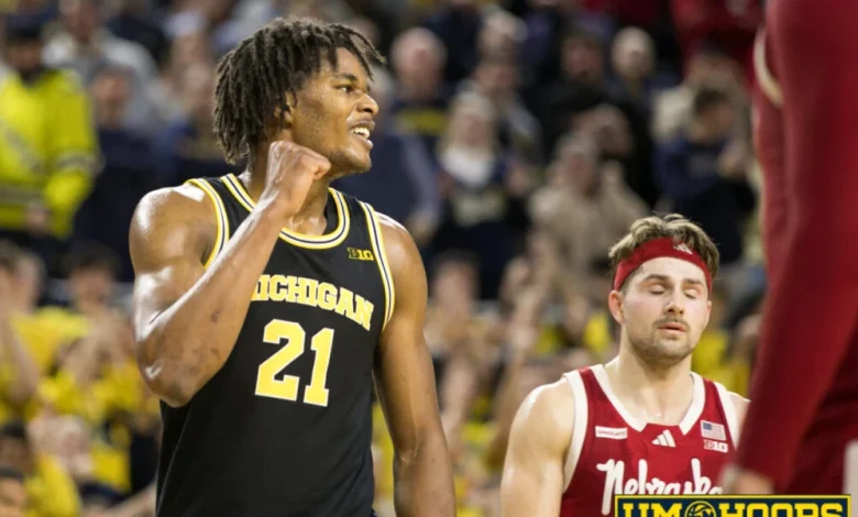 Game 20: Nebraska at Michigan Recap