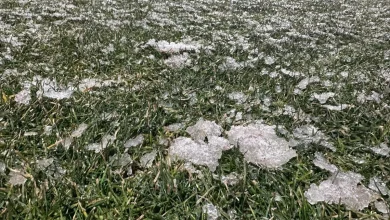 Gestul făcut de toți fotbaliștii campioanei FCSB, când au pășit pe gazonul de la Mioveni