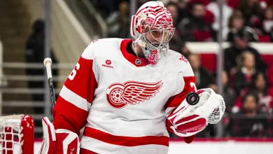Gibson on a roll during 1st season with Red Wings