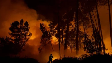 Global warming reaches 1.4C after third-hottest year on record – POLITICO