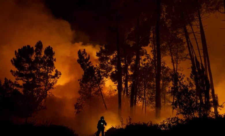 Global warming reaches 1.4C after third-hottest year on record – POLITICO