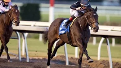 Graded Stakes Winner Stormcast Added to F-T Mixed Sale