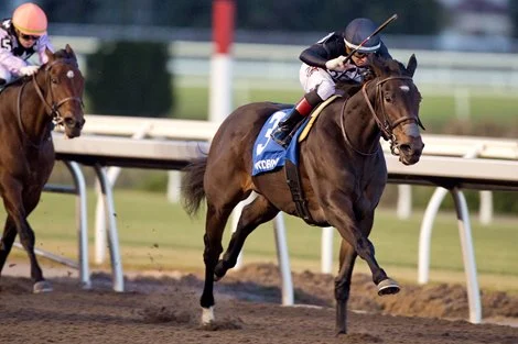 Graded Stakes Winner Stormcast Added to F-T Mixed Sale