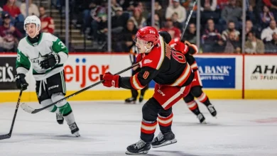 Grand Rapids Griffins | Coming Up Short