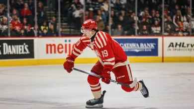 Grand Rapids Griffins | Hold The Celebration
