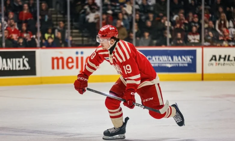 Grand Rapids Griffins | Hold The Celebration