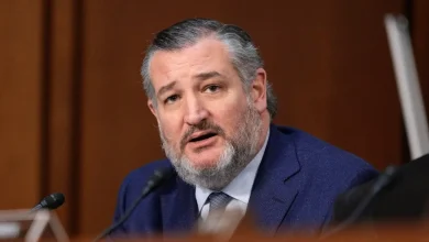 Growing number of Republicans criticize Trump officials' response to Alex Pretti's shooting