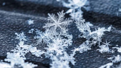 Gulf-effect snow in Florida — Is it possible?