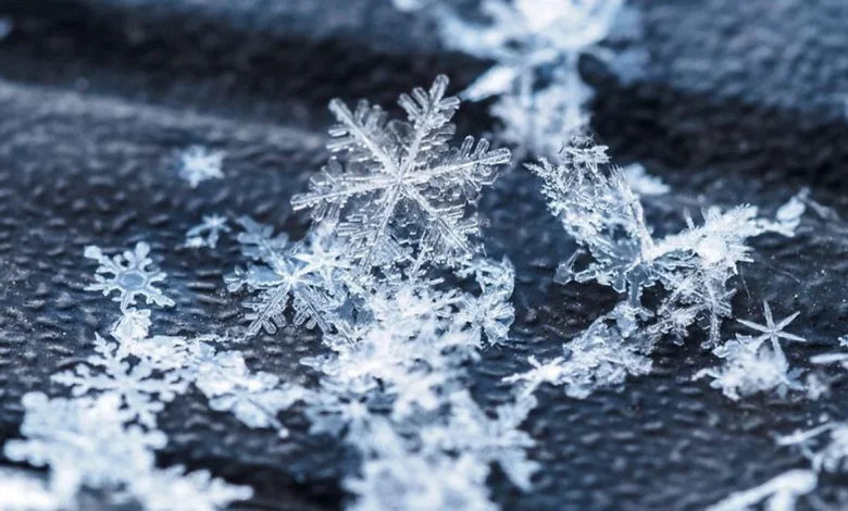 Gulf-effect snow in Florida — Is it possible?