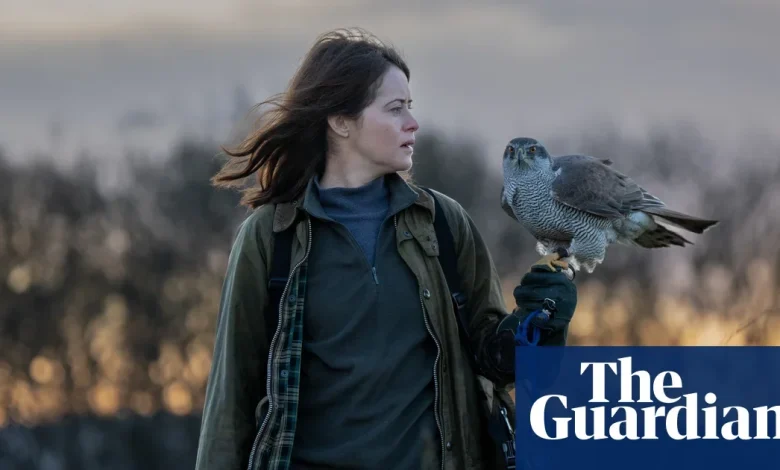 H Is for Hawk by Helen Macdonald audiobook review – a soaring journey through grief