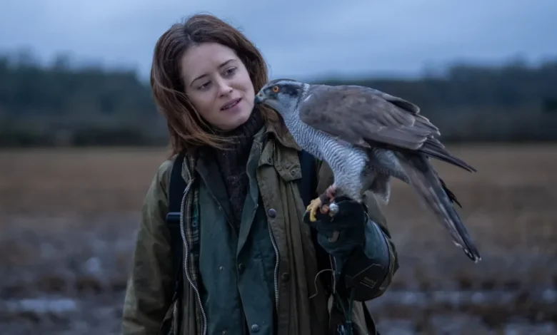 'H is for Hawk' review: Claire Foy and her pet bird take flight