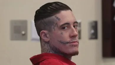 'Handsome Devil' 2026, Wade Wilson documentary. Where to watch