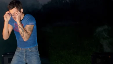 Harry Styles announces 30-show MSG residency w/ Jamie xx + international shows w/ Robyn, Fcukers & more