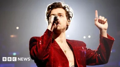 Harry Styles supporting small music venues with tour donation