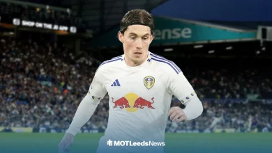 Harry Wilson transfer back on the cards at Leeds after latest Fulham update