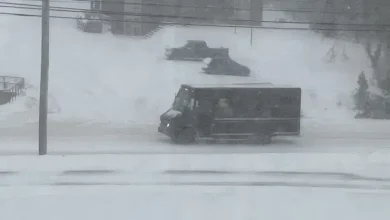 Heavy Snowfall Closes Businesses, Makes Driving Tricky
