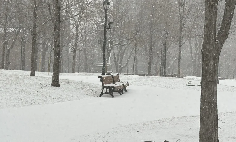 Heavy snow hits Montreal as winter conditions persist