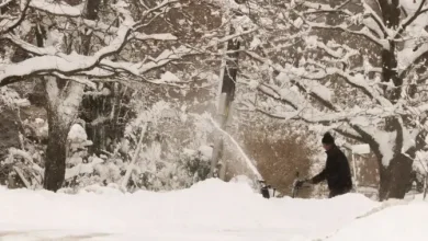 Here are the new laws and rules for Ontario starting in the new year