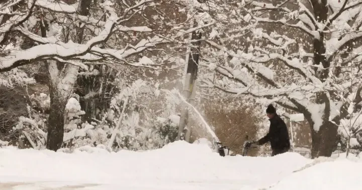 Here are the new laws and rules for Ontario starting in the new year