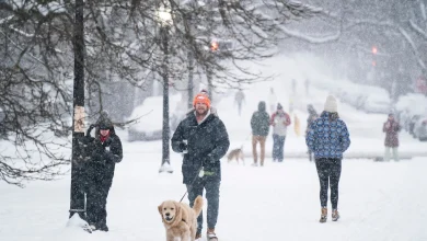 High-impact winter storm to slam D.C. area: What to expect