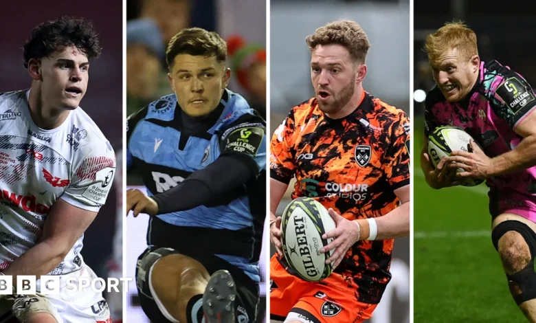 How Wales' sides can secure knockout rugby in Champions and Challenge Cups