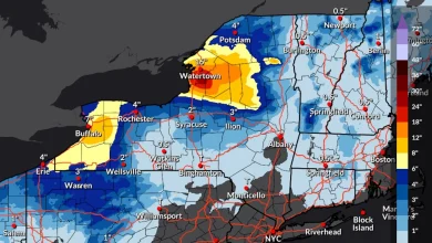 How cold will it get in Central NY this weekend? Really cold