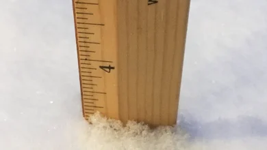 How much snow has fallen in Pittsburgh? Here's a look at the snow totals so far.