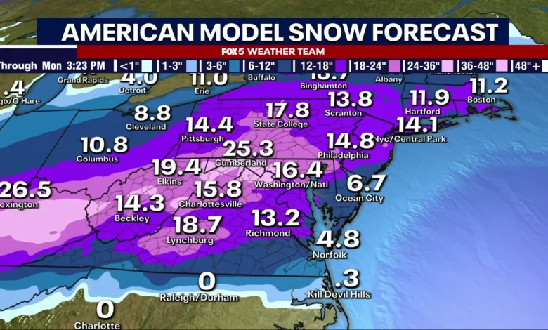 How much snow is expected on Sunday? Here's what the models show so far