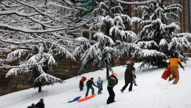 How to make the most of the snowstorm headed for NYC this weekend