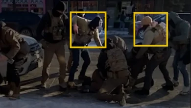 How two federal agents escalated an encounter with Alex Pretti into a deadly shooting