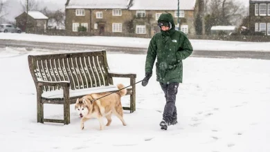 Huge blizzard set to hit UK cities next week with up to 10 inches of snow
