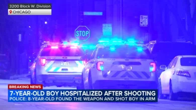 Humboldt Park shooting today: Child finds gun, shoots 7-year-old boy in 3200-block of West Division Street, police department says