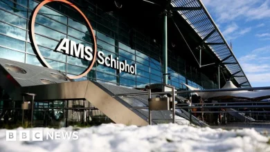 Hundreds of flights cancelled as big freeze grips western Europe