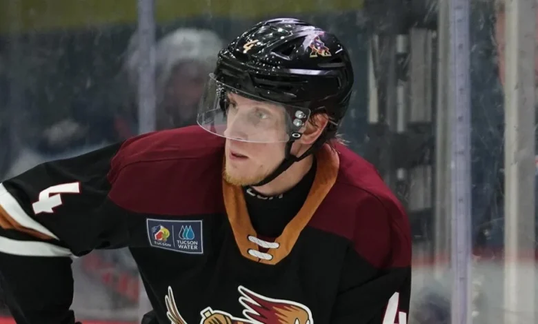 Hurricanes acquire Välimäki