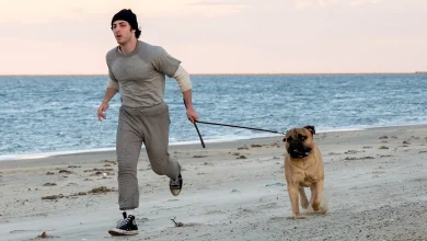 'I Play Rocky' Lands Coveted Thanksgiving 2026 Release (Exclusive)