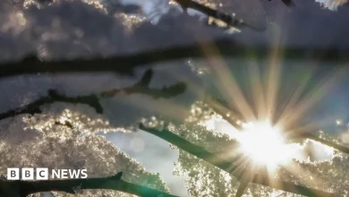 Ice forces Bradford school closures and bin round delays