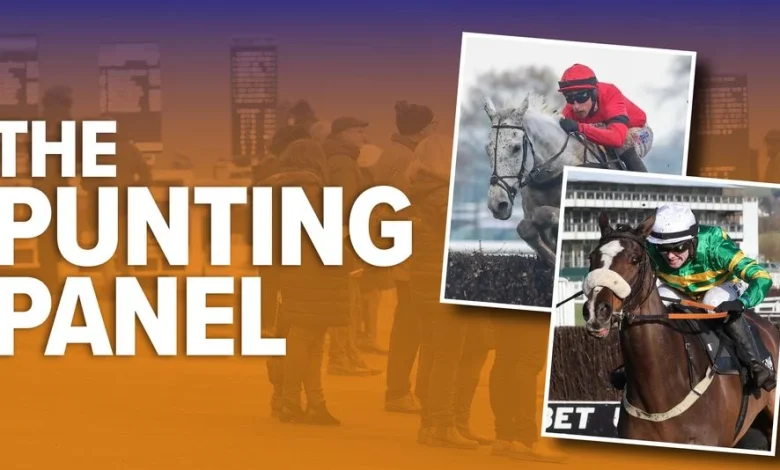 'I'm convinced he's a Grade 1 horse and should win off this mark' - our experts delve into Saturday's quality cards