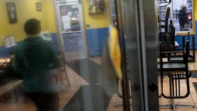 Immigrant-run restaurants are determined to survive ICE crackdown