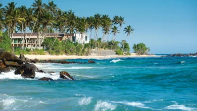 International Destinations That Feel Like Summer In February