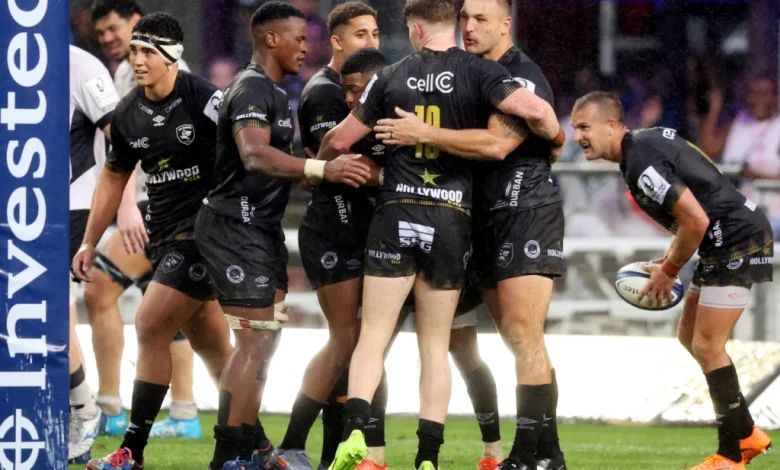 Introducing: the Hollywoodbets Sharks