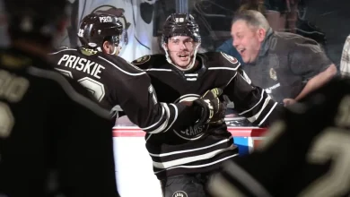 Islanders ink former Calder Cup champion Dubé | TheAHL.com