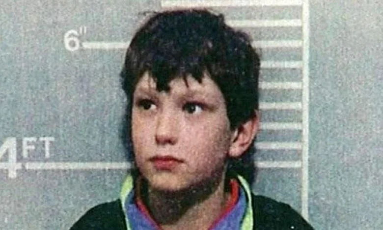 James Bulger's mum will hear voice of son's killer at Jon Venables freedom bid