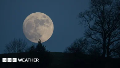 January 2026 full Moon: How and when to see the Wolf supermoon
