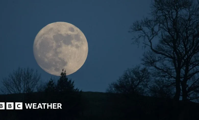 January 2026 full Moon: How and when to see the Wolf supermoon
