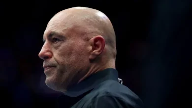 Joe Rogan breaks with Trump on ICE raids: 'Are we going to be the Gestapo?"